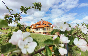 Apartment - Pierszczewo , Poland - PKA953 1
