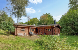 Holiday Home - Kärvaryd/Anderstorp , Sweden - S25478 1
