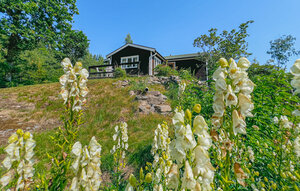 Holiday Home - Resteröd/Ljungskile , Sweden - S50724 1