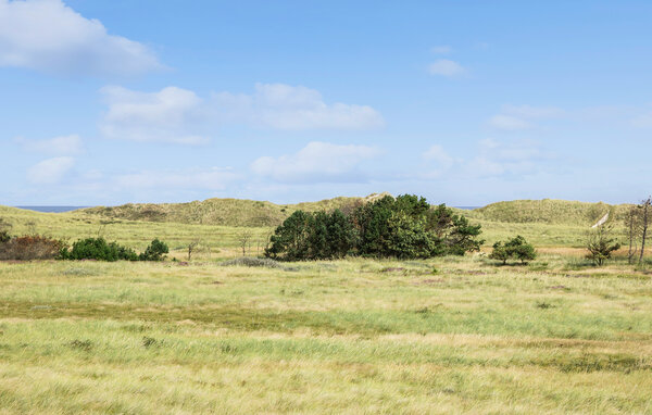 Domy wakacyjne - Skagen Strand , Dania - A01120 201