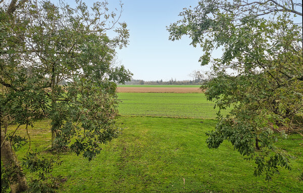 Domy wakacyjne - Børglum , Dania - A08108 202