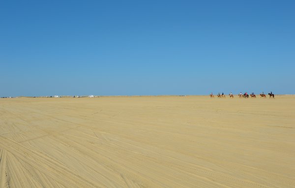 Location de vacances - Havneby Strand , Danemark - A1077 905