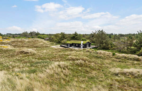 Vakantiehuis - Saltum strand , Denemarken - A12015 9
