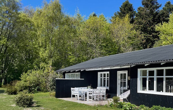 Holiday Home - Blokhus Strand , Denmark - A13301 1