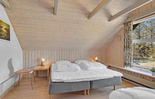 Ferienwohnung - Pandrup , Dänemark - A14027 601