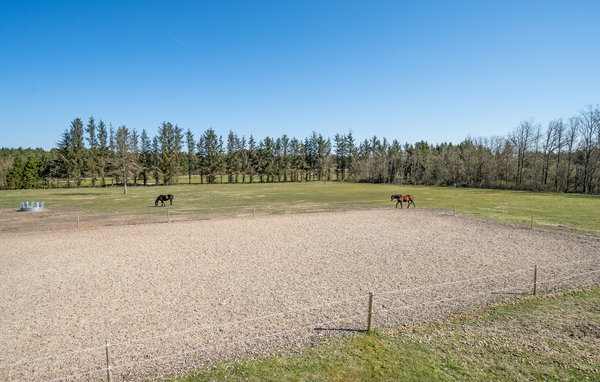 Ferienwohnung - Pandrup , Dänemark - A14027 101
