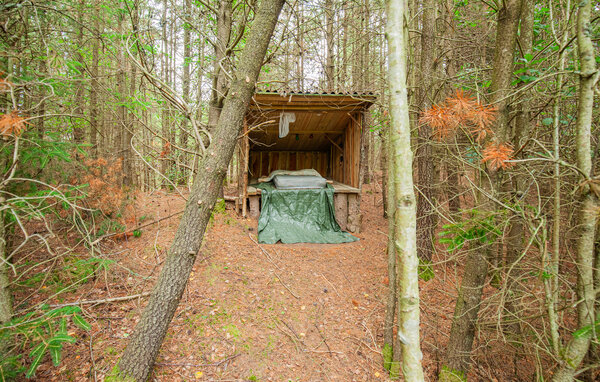 Feriehus - Rødhus , Danmark - A14556 111