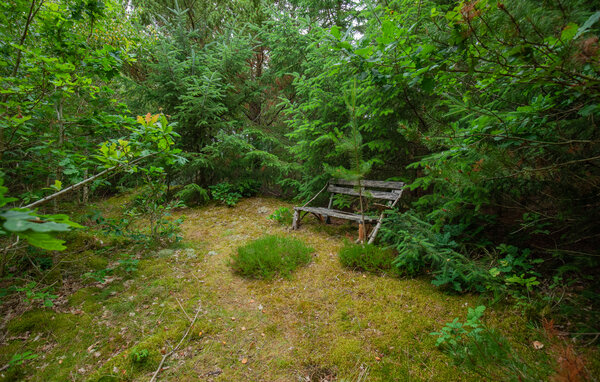 Feriehus - Rødhus , Danmark - A14556 112