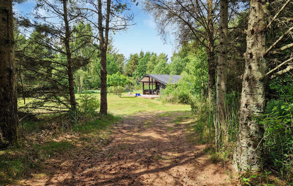 Casa vacanze - Bunken , Danimarca - A16004 81