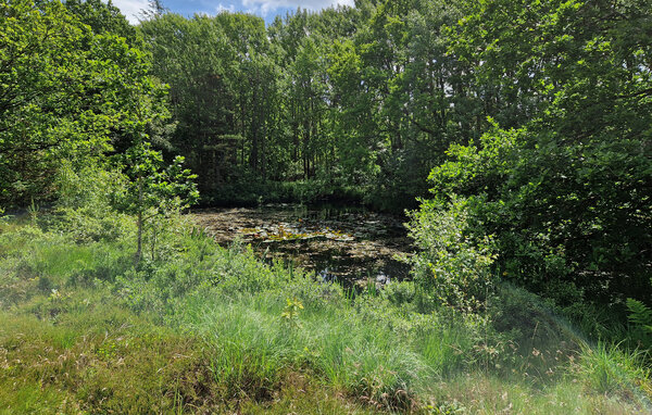 Casa vacanze - Bunken , Danimarca - A16004 105