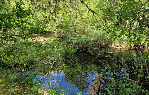 Casa vacanze - Bunken , Danimarca - A16004 106