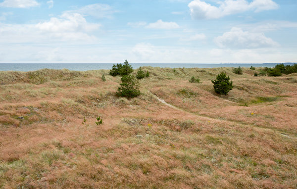 Semesterhus - Ålbæk , Danmark - A18380 9