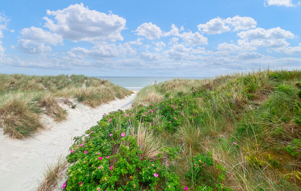 Semesterhus - Bratten strand , Danmark - A20204 903