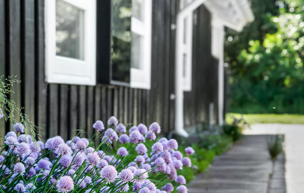 Semesterhus 