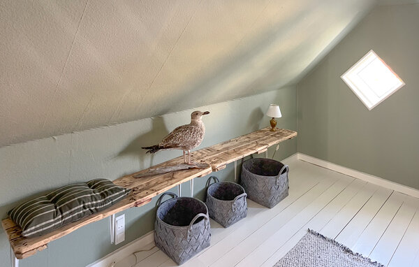 Semesterhus - Sæby strand , Danmark - A26206 501