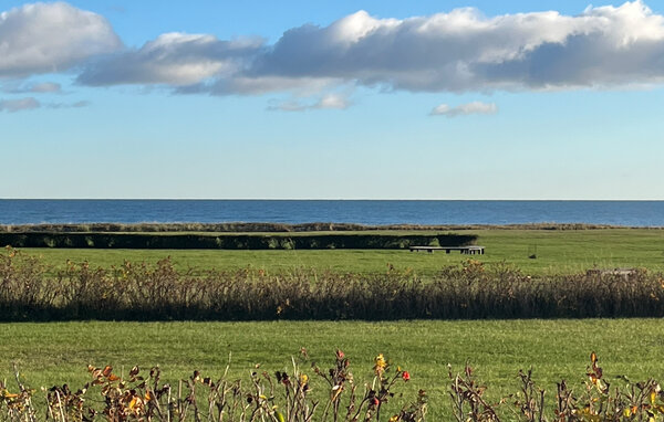 Feriehuse - Sæby strand , Danmark - A26373 8
