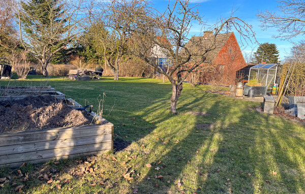 Semesterhus - Lyngså , Danmark - A26392 6