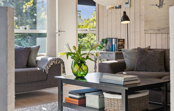 Feriehus - Bisnap Strand , Danmark - A30015 302