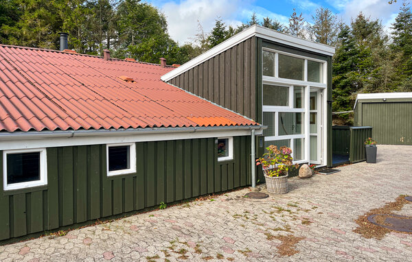Ferienhaus - Bisnap strand , Dänemark - A30208 101