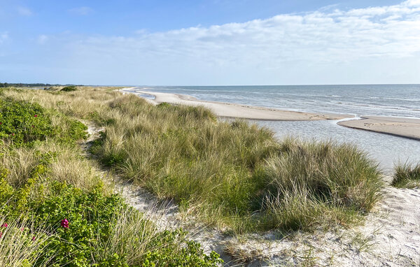 Location de vacances - Hou , Danemark - A30592 901
