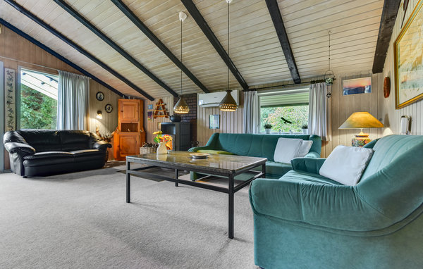 Casa vacanze - Ho-Blåvand , Danimarca - A3156 302