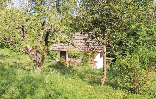 Ferienhaus - Heiligenbrunn , Österreich - ABU121 82