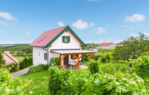 Holiday Home - Rechnitz , Austria - ABU125 81