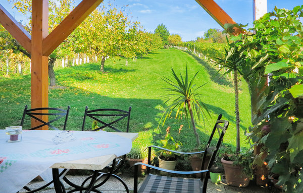 Holiday Home - Rechnitz , Austria - ABU125 9