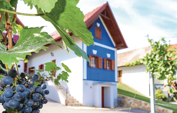 Casa de vacaciones - Gaas , Austria - ABU133 102