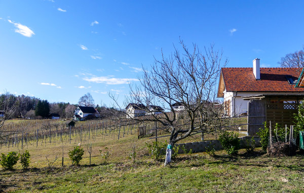 Feriehuse - Strem , Østrig - ABU174 103