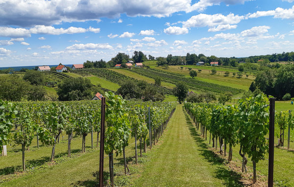 Kuća-za-odmor - Südburgenland , Austrija - ABU178 901