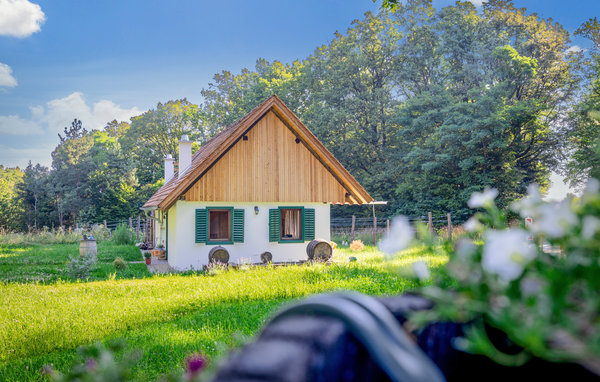 Holiday Home - Strem , Austria - ABU195 81