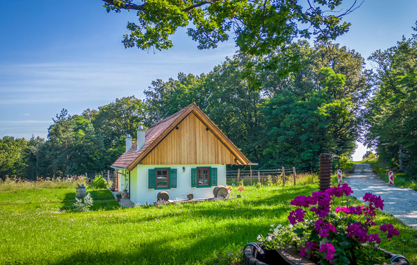 Holiday Home - Strem , Austria - ABU195 82