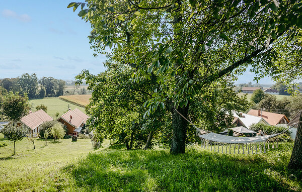 Vakantiehuis - Moschendorf , Oostenrijk - ABU220 101