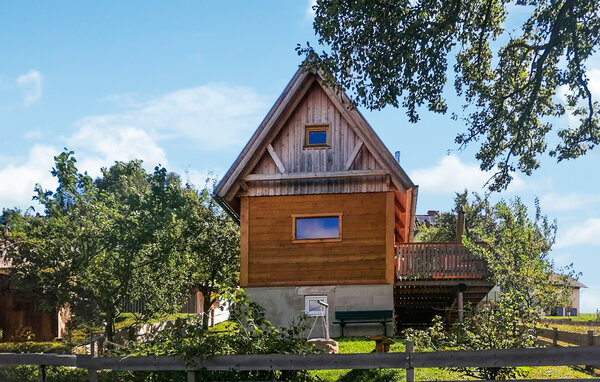 Domy wakacyjne - Preitenegg , Austria - AKA233 81