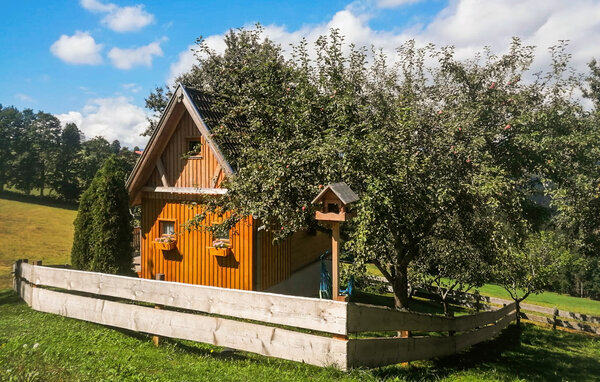 Domy wakacyjne - Preitenegg , Austria - AKA233 84