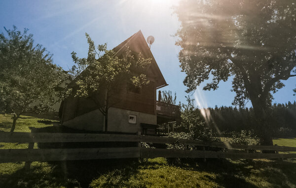 Domy wakacyjne - Preitenegg , Austria - AKA233 85