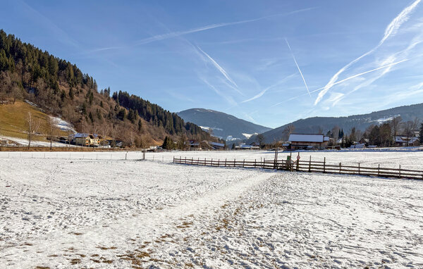 Ferienwohnung - Afritz am See , Österreich - AKA274 905