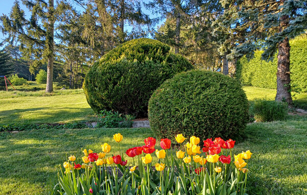 Apartman - Neuhaus an der Triesting , Austrija - ANO137 106