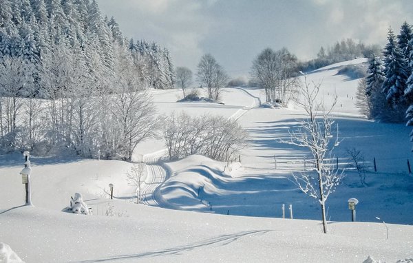 Ferienhaus Holzhaus Hirschalm