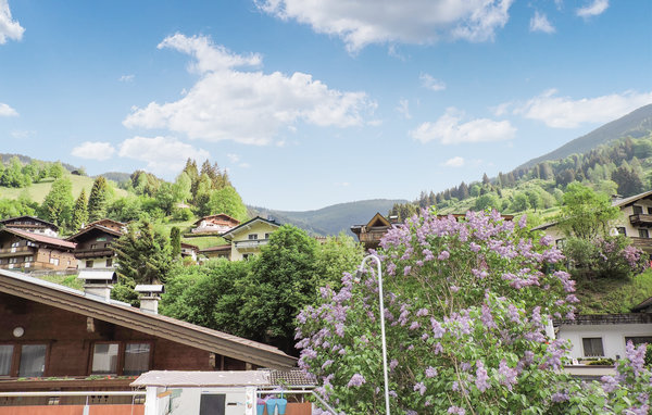 Semesterlägenhet - Viehhofen , Österrike - ASA451 3