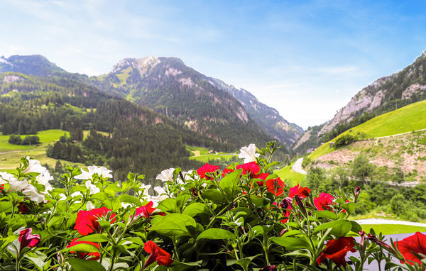Appartamento - Grossarl , Austria - ASA906 201