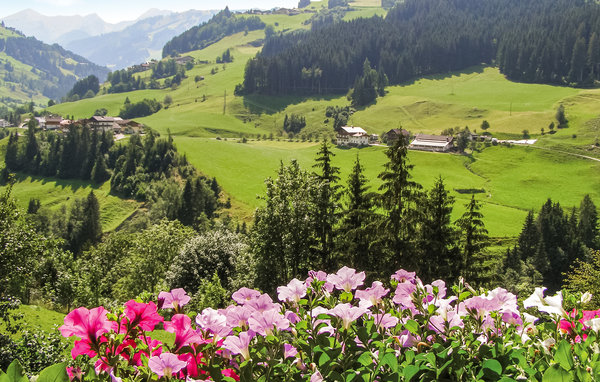 Appartamento - Grossarl , Austria - ASA906 204