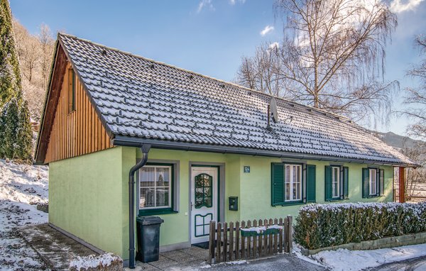 Holiday Home - St. Peter am Kammersberg , Austria - AST244 83