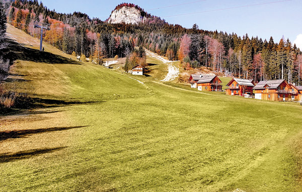 Kuća-za-odmor - Altaussee , Austrija - AST262 2