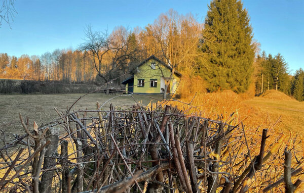Ferienhaus - Friedberg , Österreich - AST287 101