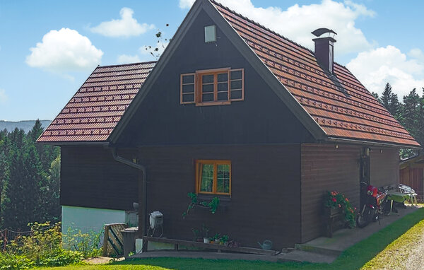 Vakantiehuis - Deutschlandsberg , Oostenrijk - AST300 1