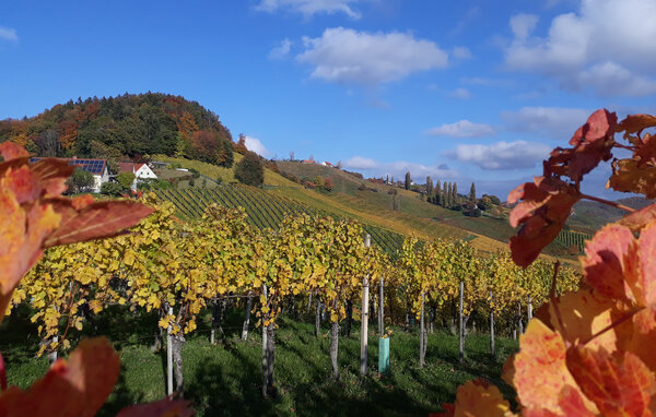 Holiday Home - Ehrenhausen , Austria - AST308 901