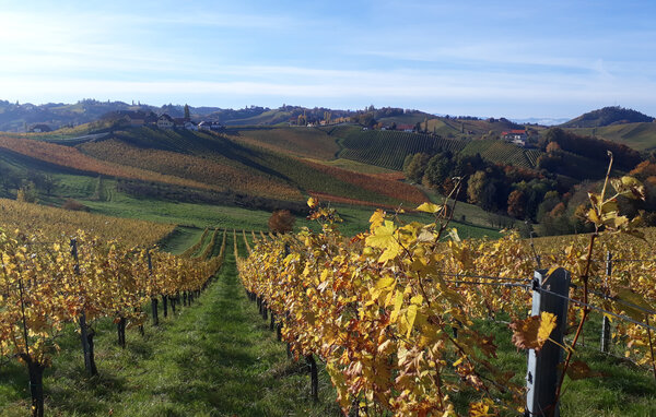 Holiday Home - Ehrenhausen , Austria - AST308 902