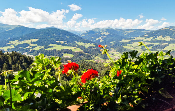 Ferienwohnung - Hopfgarten , Österreich - ATA333 2